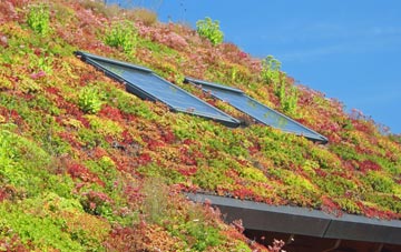 Bovey Tracey living roof systems